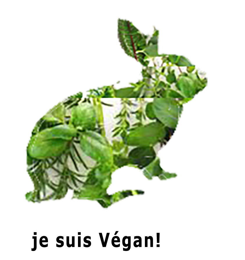lapin aux aromates